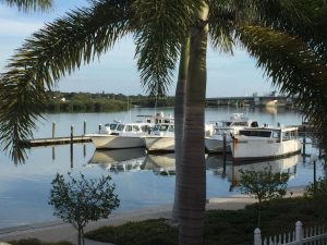 Escape to Paradise Your Guide to Barefoot Beach Florida Vacation Rentals